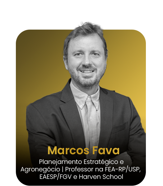 Marcos-Fava_03